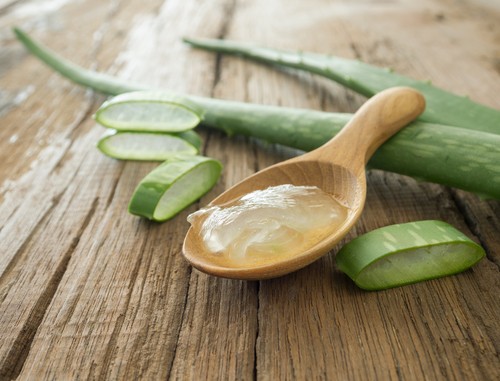 The Soothing Power of Aloe Vera Gel - Belong Cancer